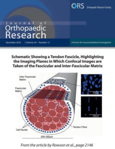 Journal of Orthopaedic Research